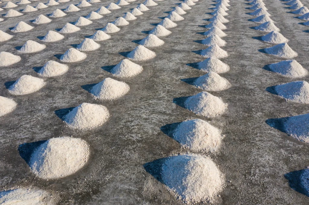 Premium Quality Dolomite Powder in Jharkhand​