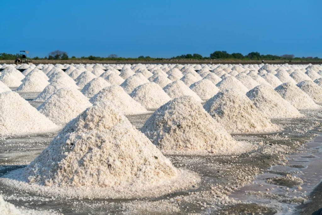 Top Quality Silica Sand Supplier in India